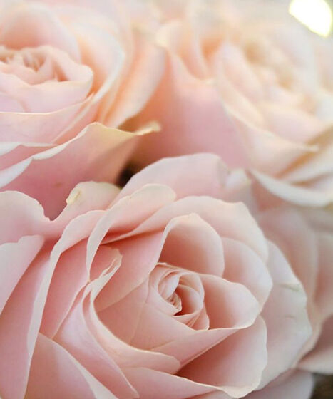 Planet - reducing polution and footprint